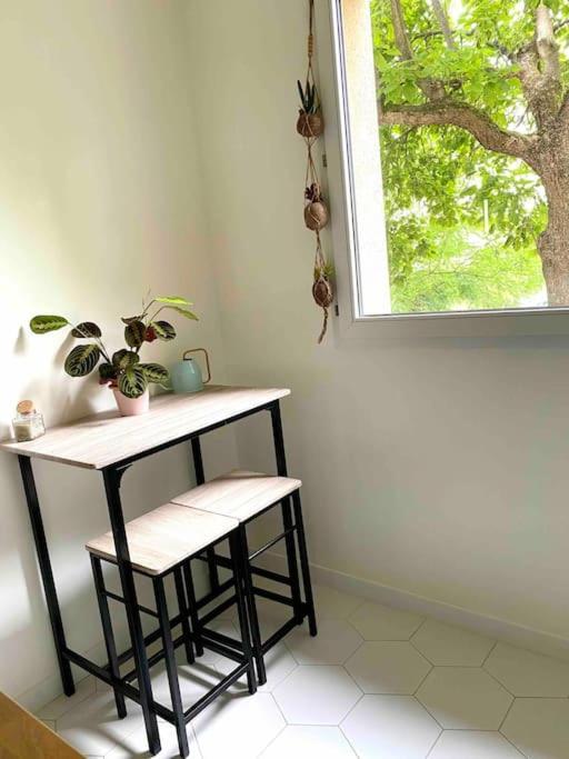 Mon Cocoon Toulousain Cosy Appartement Idealement Situe Toulouse Eksteriør bilde